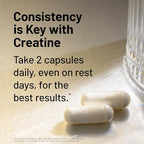 NatureWise Micronized Creatine Monohydrate Pills, 2500mg Per Serving - Creatine for Women & Men - Pure, Unflavored, Supports Lean Muscle Mass, Endurance - 60 Capsules[30-Day Supply]