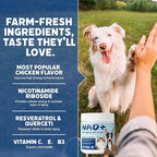 NAD+ Precursor & Senior Dog Multivitamin Supplement, 90 NMN Supplements for Longevity, Anti-Aging & Energy, Dog Daily Support Vitamins Chews for Hip & Joints, Skin & Coat, Chicken