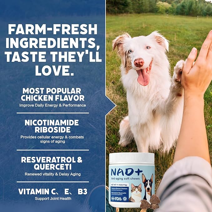 NAD+ Precursor & Senior Dog Multivitamin Supplement, 90 NMN Supplements for Longevity, Anti-Aging & Energy, Dog Daily Support Vitamins Chews for Hip & Joints, Skin & Coat, Chicken