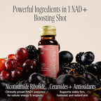 Happy Aging Liquid NAD+ Resveratrol Supplement, NMN Alternative, Liposomal Nicotinamide Riboside & Antioxidants for Energy Support, Brain Health, Firm Skin, Twice Weekly Use, 60 Shots
