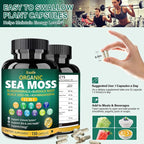 Bualle Irish Sea Moss Capsules – Organic Sea Moss, Black Seed Oil, Ashwagandha Supplements with Bladderwrack, Ginger & Burdock Root – Supports Daily Wellness, Skin & Energy – 150 Count (1 Pack)