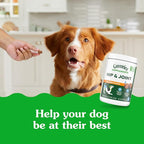 Greenies Supplements Hip and Joint Supplements for Dogs, with Chondroitin & Glucosamine for Dogs, Chicken Flavor, 6.08 oz. Pouch, 30 Count
