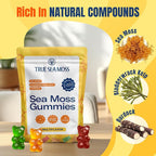 TrueSeaMoss Gummies Sample – 1200mg Irish Sea Moss + Bladderwrack & Burdock Root – Travel-Size, Vegan, Fruity, Gluten-Free – 14 Gummies – Easy On-the-Go Wellness – Made in USA