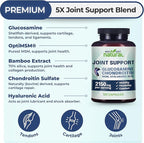 Why Not Natural Glucosamine Chondroitin, MSM, Joint Support Supplements - Knee Pain Joints Health Suppplement