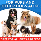 BARK&SPARK Omega 3 for Dogs - 180 Fish Oil Treats for Dog Shedding, Skin Allergy, Itch Relief, Hot Spots Treatment - Joint Health - Skin and Coat Supplement - EPA & DHA Fatty Acids - Canine Salmon Oil