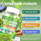 Sea Moss Gummies – Irish Sea Moss with Black Seed Oil, Bladderwrack, Burdock Root for Immune & Detox Support, Vegan Green Apple Flavor Gummies for Adults, Kids, Men, Women - 60 Gummies