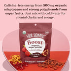 Four Sigmatic Perform Super Powder with Super Fruits and Antioxidants Red Raspberry - Can