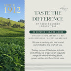 Luxmi Estates Citrus Sky Green Tea 100gm Tin | Certified Organic Darjeeling Green Tea