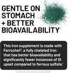 NatureWise Vegan Iron Supplement for Women & Men - Gentle on Stomach High Absorption - Coated Iron Bisglycinate Tablets + Vitamin C, Methyl B12, Folate & Organic Food Blend - 30 Tablets[30-Day Supply]
