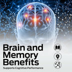 Ultra Max Natural Organic 4 in 1 Brain Supplements for Memory and Focus, Immune Support Anti-Aging Dietary Supplements