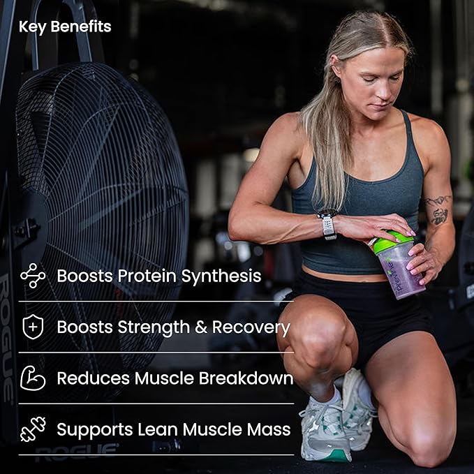 Muscle Health Plus – All-in-One Creatine Monohydrate & Amino Acids Powder with myHMB & AstraGin – BCAA 2:1:1 and Essential Amino Acids Supplement for Strength, Recovery & Lean Muscle, Cherry