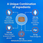 Nutramax Cosequin for Senior Dogs Joint Health Supplement, Contains Glucosamine, Chondroitin, MSM, Omega-3s and Beta-Glucan, Supports Joint, Skin and Coat, Immune Health, Soft Chews, 120 Count