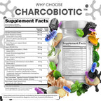 Activated Charcoal Pills for Gas Relief and Debloat, CharcoBiotic with Probiotics Digestive Enzymes Shilajit Peppermint Fennel Ginger Turmeric Licorice Root Aloe Vera Ceylon Cinnamon, Clean Nutra 90ct