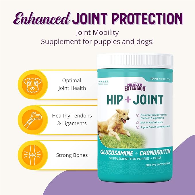 Health Extension Chondroitin with Glucosamine for Dogs, 8oz - Arthritis Pain Relief, Joint & Hip Supplement, Cheese Flavored Powder