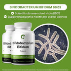 Bifidobacterium Bifidum Probiotic Supplement 240 Tablets 3 Billion CFU Probiotics for Men & Women Supports Intestinal Digestive & Gut Health (240, Bifidobacterium Bifidum)