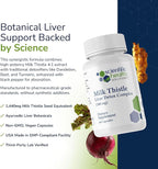 Milk Thistle Liver Detox Complex – Clinical-Grade Liver Support Supplement with Turmeric, Dandelion, Beet, Picrorhiza, Black Pepper – Phase I & II Detox – 60 Capsules – Non-GMO (3-Pack)