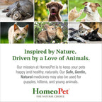 HomeoPet Feline Anxiety Relief, Safe and Natural Pet Stress and Anxiety Support Supplement for Cats, 15 Milliliters