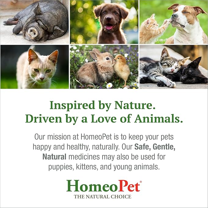 HomeoPet Feline Anxiety Relief, Safe and Natural Pet Stress and Anxiety Support Supplement for Cats, 15 Milliliters
