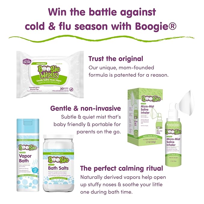 Boogie Antibacterial Hand Wipes, Alcohol Free, Hypoallergenic and Moisturizing Aloe, For Kids and Adults - 30 Wipes (Pack of 2)