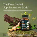 Gaia Herbs Metabolic Activator - AMPK Pathway Support with Clinically Researched Ingredients* - 60 Vegan Capsules (60 Servings)