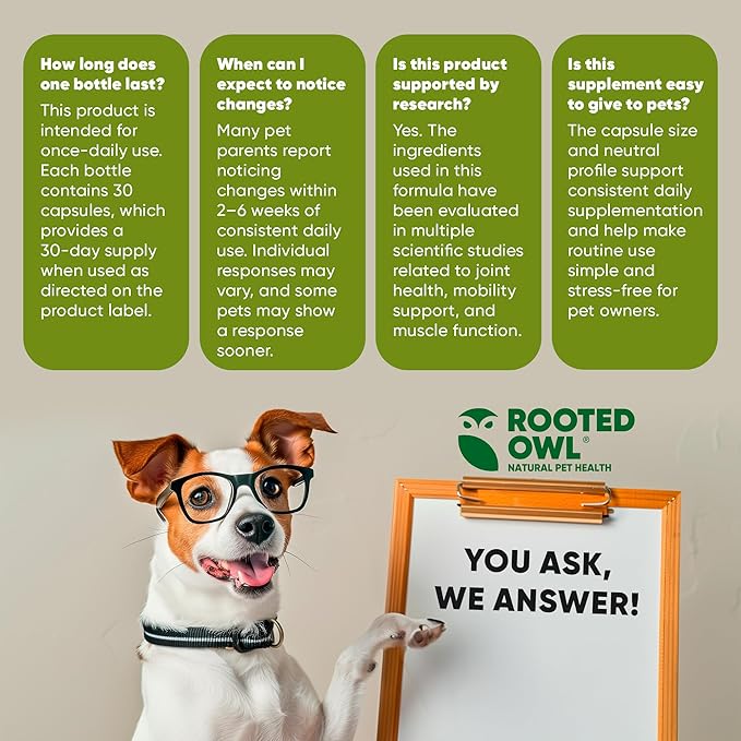 Rooted Owl Joint and Muscle Support for Large Dogs (Over 30 Lbs) - Supplement with UC-II Type II Collagen and L-Carnitine - 30 Count