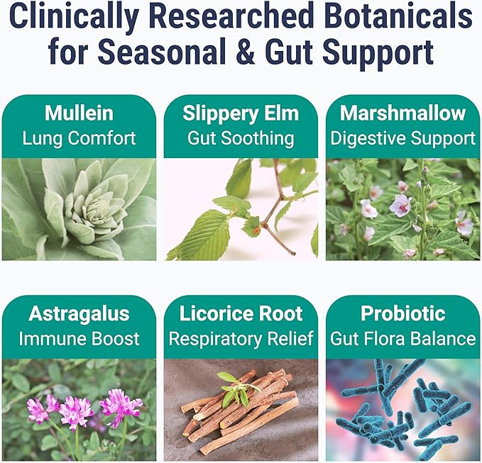SHIZAM Slippery Elm, Mullein Leaf, Marshmallow Root, Licorice Root, Astragalus Root, Elderberry & Probiotic Bacillus Coagulans Gummies – Sugar-Free, Keto-Friendly, Vegan - Gymnema Sylvestre