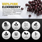 Sambucus Elderberry Gummies with Vitamin C & Zinc Sugar-Free Elderberry Immune Gummies for Adults & Kids Organic Elderberry Gummies 60 Count