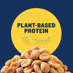 PLANTERS Honey Roasted Peanuts,Dry Roasted Peanuts,Party Snack,Plant-Based Protein,After School Snack,Sweet and Salty,Salted Nuts,Sea Salt & Honey,Snacks for Adults,Kosher,16oz Jar,(Pack of 4)