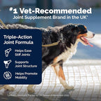 YuMOVE Hip & Joint Supplement for Large Dogs - with Glucosamine Chondroiton, Green Lipped Mussel, Hyaluronic Acid, and Omega 3 Joint Supplement for Stiffness and Mobility - 60 Chews (Large/XL Dogs)