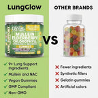 Clean Nutra Mullein Gummies for Lung Health Support with Elderberry Chlorophyll Spirulina Tart Cherry Sea Moss Vitamin C Lutein Marshmallow Root Licorice Root Superfood Greens Mucus Relief 60 Gummies