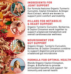 5-in-1 Organic Turmeric Curcumin Supplement (4210mg) with Berberine, Ceylon Cinnamon Bioperine and Ginger Supplements for Joint, Heart, Gut, & Metabolic Support (60 Servings)