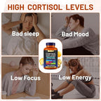 Cortisol Supplement with Aspalathus Linariifolius, Magnesium, L-Theanine - for Men and Women - Stress Relief, Sleep Support, Detoxification, Reduction & Control - 120 Capsules