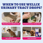 4oz Wellix Natural Cat & Dog UTI Treatment Drops,Cat & Dog Urinary Tract Infection Treatment - Cranberry & D-Mannose for Dogs & Cats - Kidney Health Supplement