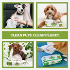 Pogi’s Dog Grooming Wipes – Hypoallergenic Pet Wipes for Paws, Body & Butt – Cleaning & Hydrating, Green Tea Scent, 100-Count