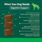PetNC Natural Care Liver Flavor,Cheese Pre & Probiotic Soft Chews for Dog 120 ct (Pack of 1) (Packaging May Vary)