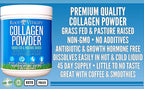 Root Vitality Collagen Peptides Powder - Grass-Fed, Pasture-Raised Hydrolyzed Protein Supplement for Skin, Hair, & Nails - Non-GMO, Zero Sugar Daily Supplement for Men & Women (45 Servings)