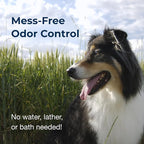 PetAg Fresh ’n Clean Cologne Spray - Floral Scent - 12 oz - Controls Odor & Keeps Dogs Smelling Fresh