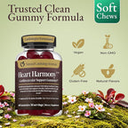 Heart Harmony™ Berberine Supplement Gummies with Ceylon Cinnamon – High Potency berberine with Ceylon cinnamon for Metabolism Blood Sugar Support Healthy Lipid Balance Circulatory Wellness
