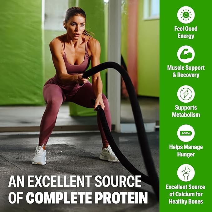 Orgain 38g High Protein Shake, Dairy Isolate Protein Milk, Chocolate Fudge, 6g BCAAs, 1g Sugar Per Serving, Meal Replacement, Ready to Drink, Keto Friendly, Gluten-Free 14 Fl Oz (Pack of 12)