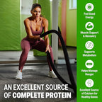Orgain 38g High Protein Shake, Dairy Isolate Protein Milk, Chocolate Fudge, 6g BCAAs, 1g Sugar Per Serving, Meal Replacement, Ready to Drink, Keto Friendly, Gluten-Free 14 Fl Oz (Pack of 12)