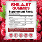Shilajit 1000mg Gummies for Men & Women - Maximum Strength Pure Himalayan Shilajit, Gluten-Free, Non-GMO, 100% Vegetarian - Natural Raspberry Flavor - 60 Count