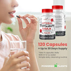 Takesumi Activated Charcoal Capsules 2500MG - Pure Activated Charcoal Supplement from Bamboo for Max Absorption, Detox & Gut Nutrition - 120 Vegetarian Capsules by Powered X Plants