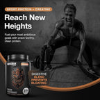 Birdman Falcon Performance Vegan Protein Powder, 31g Protein, 5g Creatine, 5g BCAA, Probiotics, Electrolytes, Pre Workout, Low Carb, Sugar Free & Dairy Free, Plant Based Chocolate Protein -19 servings