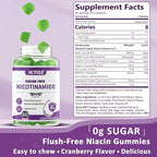 Sugar Free Nicotinamide 500mg Gummies, (Flush Free Niacin) Vitamin B3 Niacinamide Supplement for Cellular Energy Metabolism & Repair, Vitality, Healthy Aging, Cranberry Flavor, Easy to Chew, 120 Cts