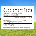 Innate Vitality Magnesium Glycinate 500mg | 70mg Elemental Magnesium Supplement - High Absorption, Non Buffered, Non-GMO & No Gluten - Vegan - Nerve Health - 60 Capsules (Pack of 1)