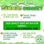 OH MY CHEWY Pure Himalayan Shilajit Gummies - High Potency Gold Grade Resin - Energy Boost and Immune Support for Men and Women with Ashwagandha and Shatavari - Apple & Kiwi