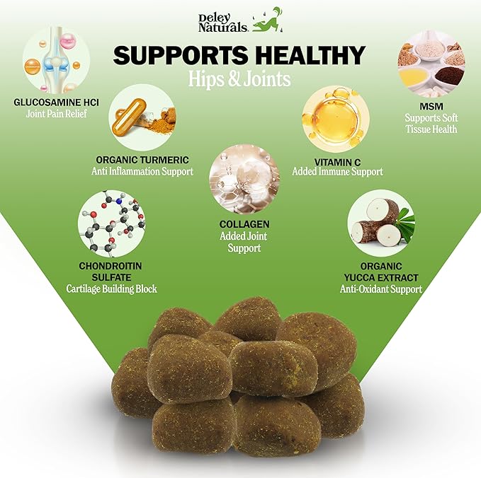 Deley Naturals Hip and Joint Supplement for Dogs - Glucosamine Chondroitin MSM & Collagen for Dogs - Dog Joint Supplement, Smaller Chews, Low Calories, Same Ingredients - 120 Chicken Flavor Chews