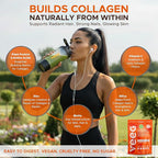 Veeg Plant Protein Powder – Vegan Protein Shake & Collagen Boost. Pea Protein, MCT, Probiotics & Multivitamin. 10 Supplements in 1. Daily Energy, Immunity & Wellness. 15 Servings (Vanilla)