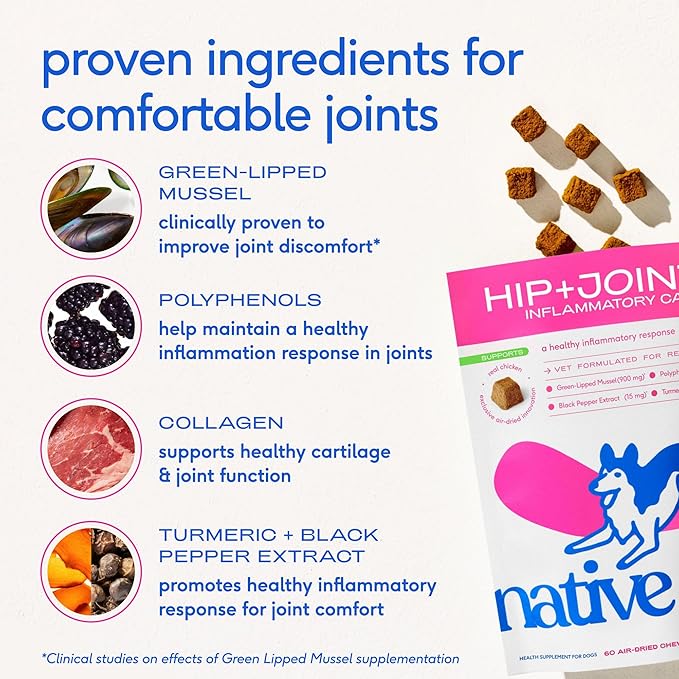 Native Pet Inflammatory Care - Pain Relief for Dogs - Green-Lipped Mussel, Turmeric & Collagen for Dogs - Hip and Joint Supplement Supports Healthy Inflammatory Response & Joint Comfort - 30 Chews