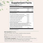 Liver Advanced+, 480 Veggie Capsules | 20-in-1 Complex + Milk Thistle, Dandelion, NAD, NAC, ALA, TUDCA, Glutathione, Artichoke, Turmeric, & Astragalus | Non-GMO, Gluten Free